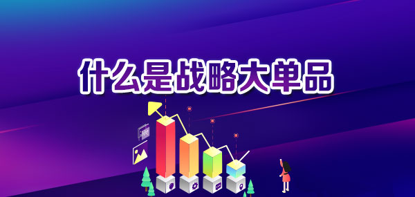 產(chǎn)品策劃談：什么是戰(zhàn)略大單品？