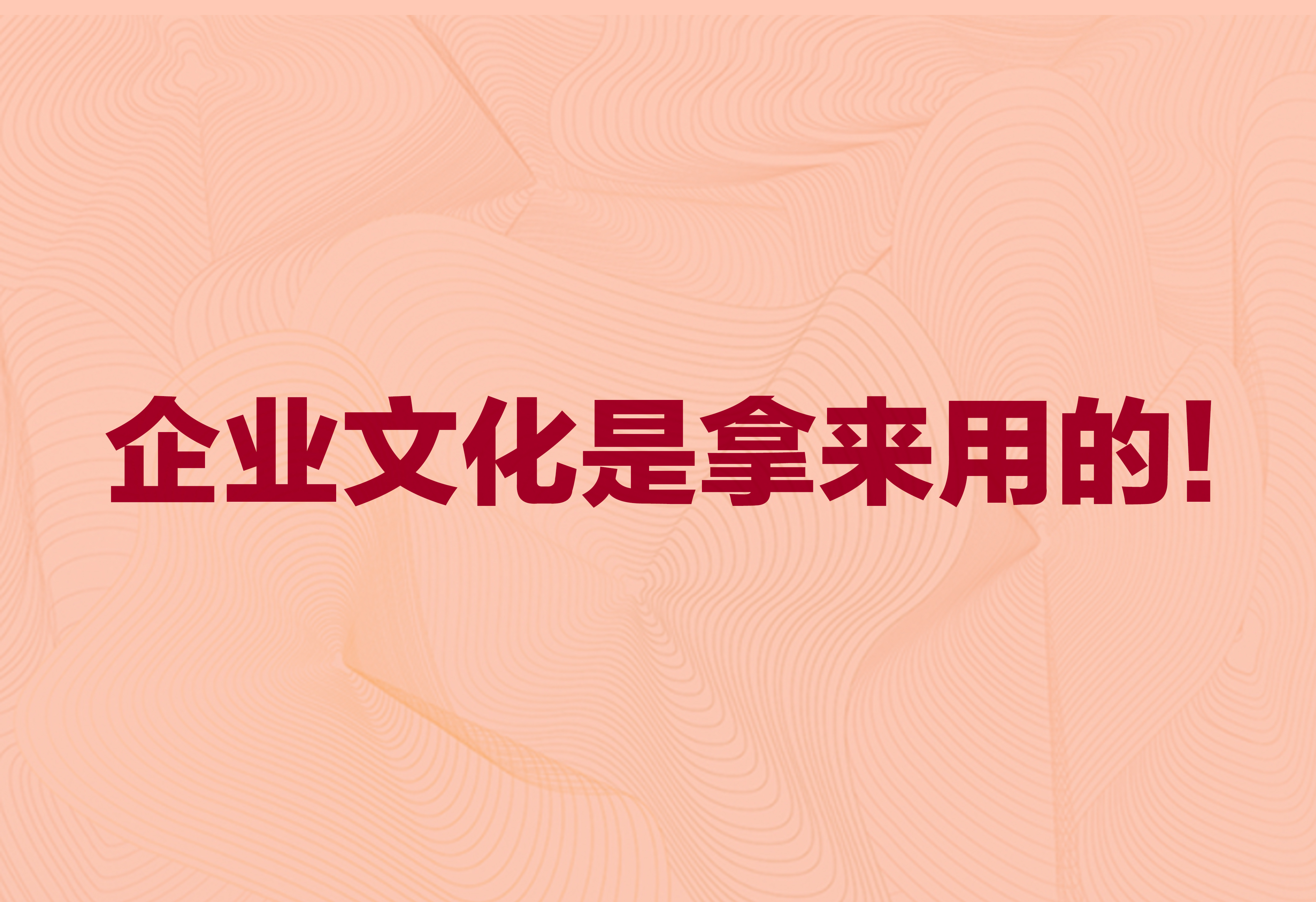 企業(yè)文化是拿來用的！