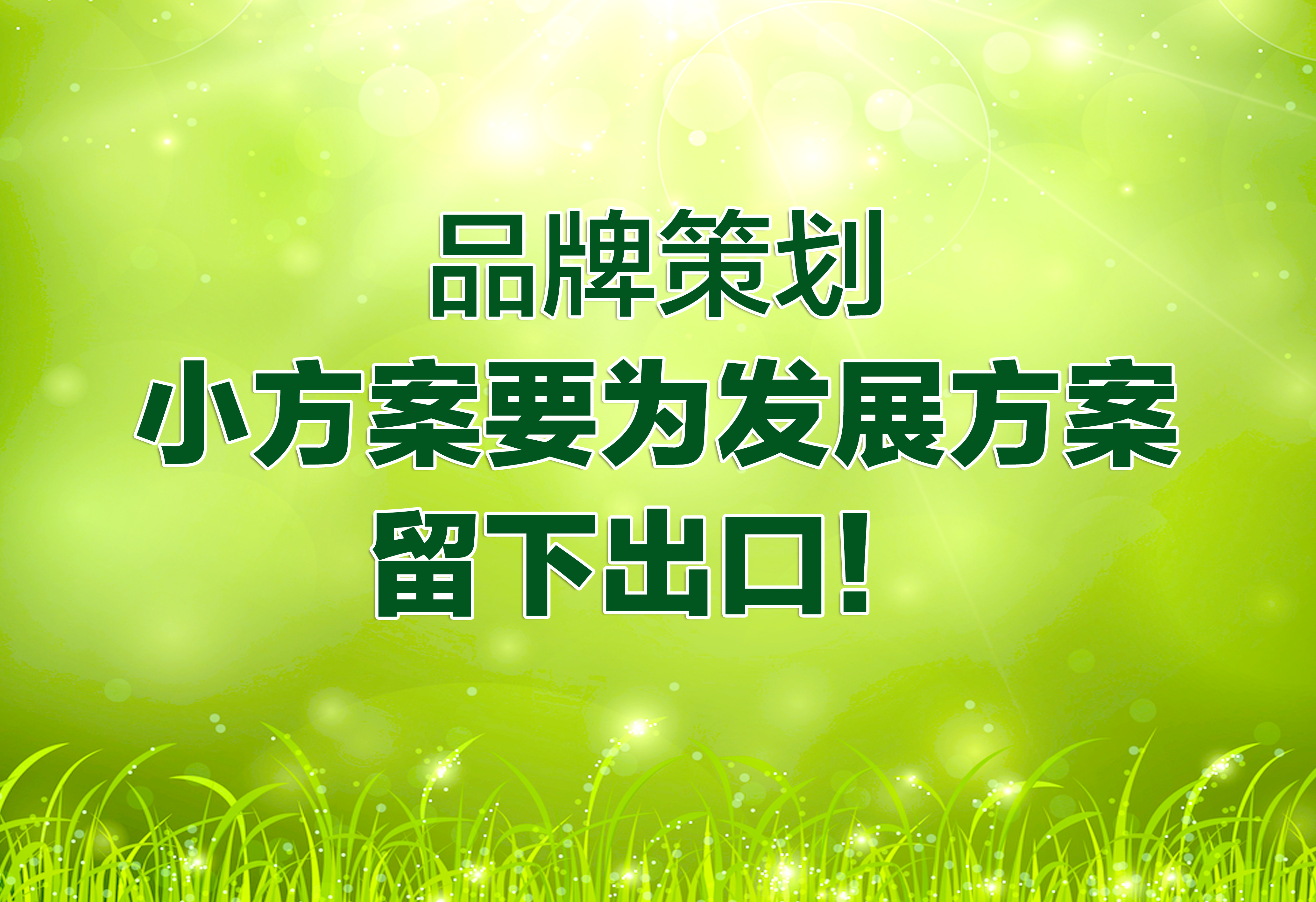 品牌策劃：小方案要為發(fā)展方案留下出口！