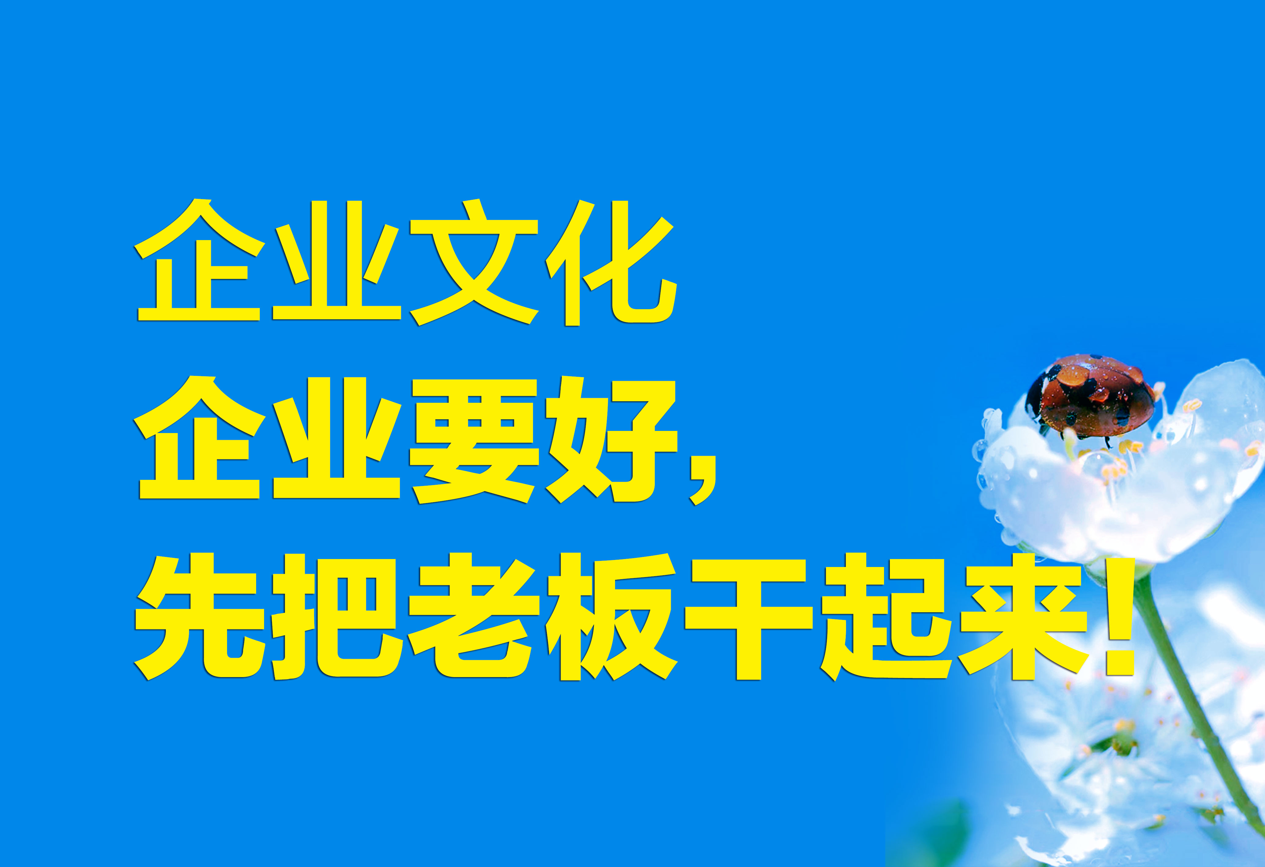 企業(yè)文化：企業(yè)要好，先把老板干起來！